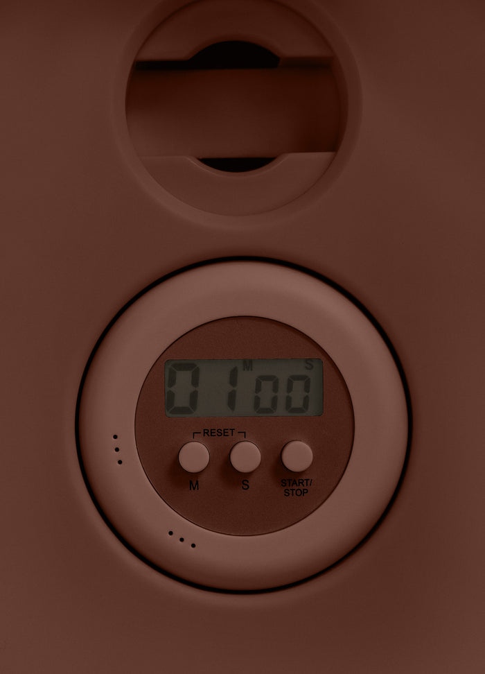 Mini Pilates Reformer