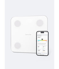 Scale Up Your Wellness